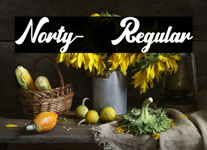 Norty-Regular Example 3