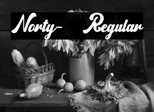 Norty-Regular Font examples