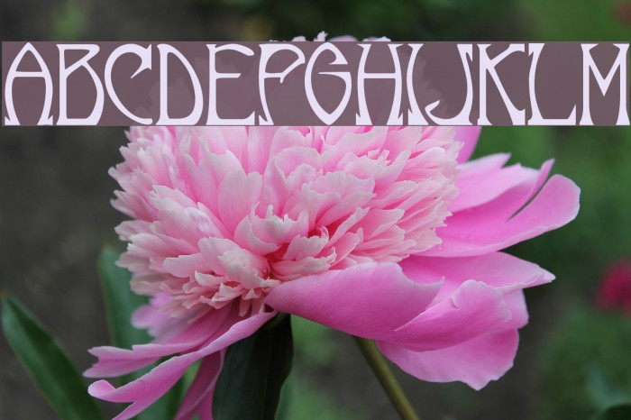 Norumbega Demo Font examples