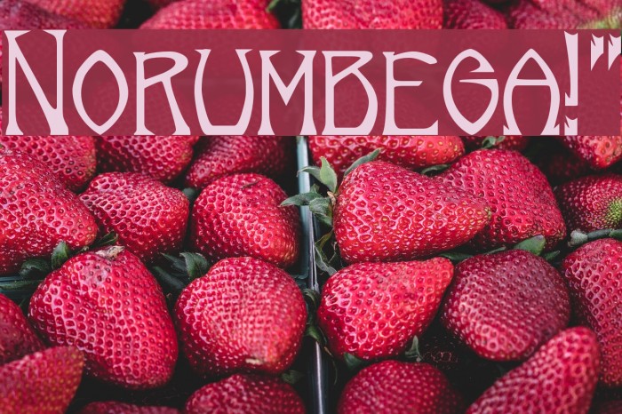 Norumbega!` Font examples