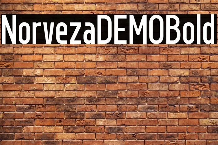 Norveza DEMO Bold Example 1