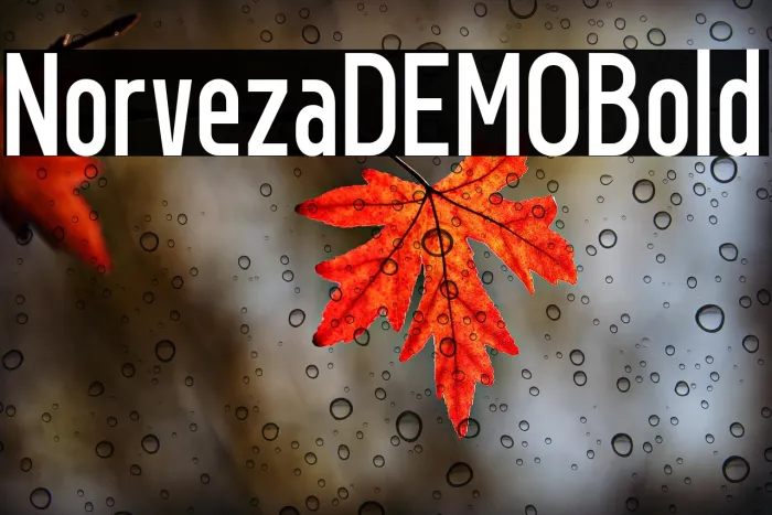 Norveza DEMO Bold Example 2