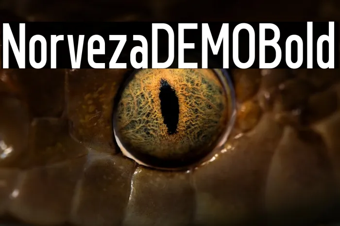 Norveza DEMO Bold Example 3