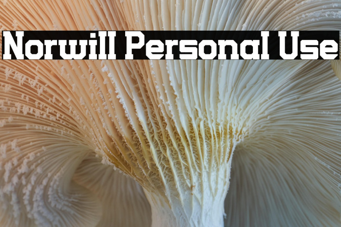 Norwill Personal Use Example 1