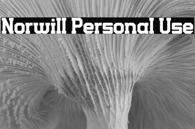 Norwill Personal Use Font examples