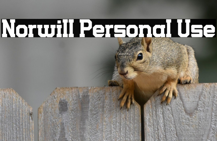 Norwill Personal Use Example 2