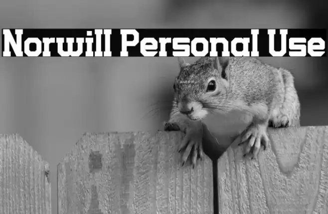 Norwill Personal Use Font examples