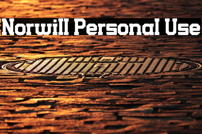 Norwill Personal Use Example 3
