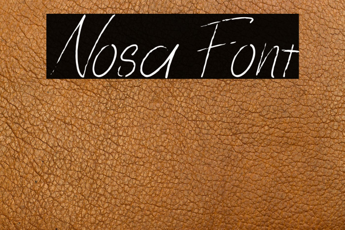 Nosa Example 1