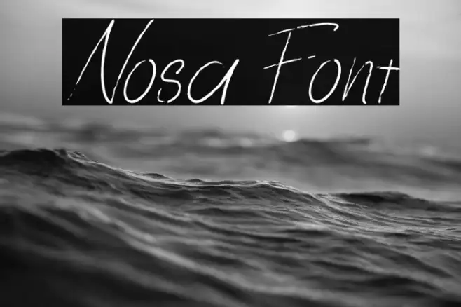 Nosa Example 2