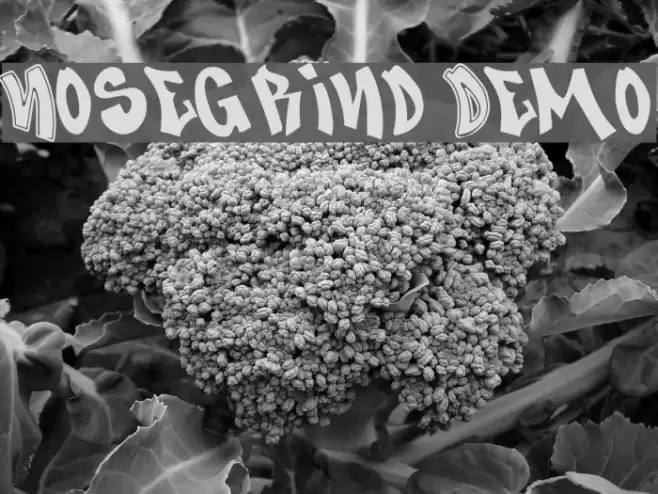 Nosegrind Demo Font examples
