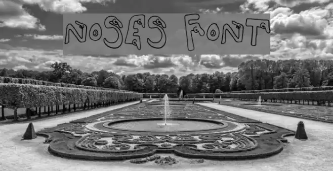 Noses Font examples