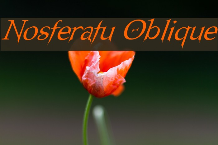 Nosferatu Oblique Font examples