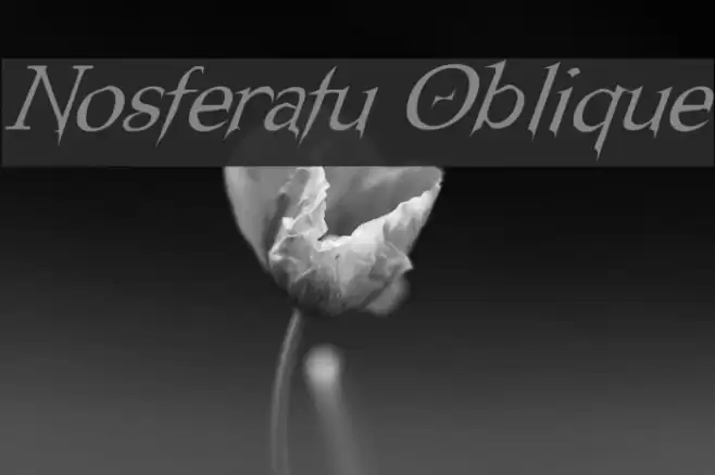 Nosferatu Oblique Polices examples