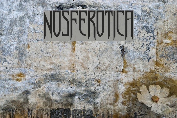 Nosferotica لخطوط تنزيل examples