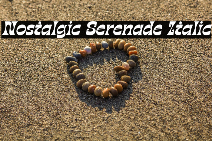 Nostalgic Serenade Italic Example 2