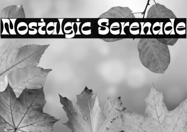 Nostalgic Serenade Polices examples