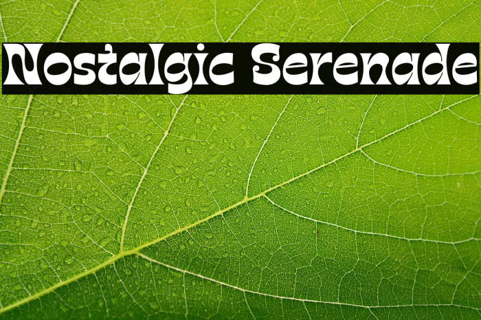 Nostalgic Serenade Example 2