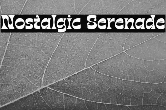 Nostalgic Serenade Polices examples