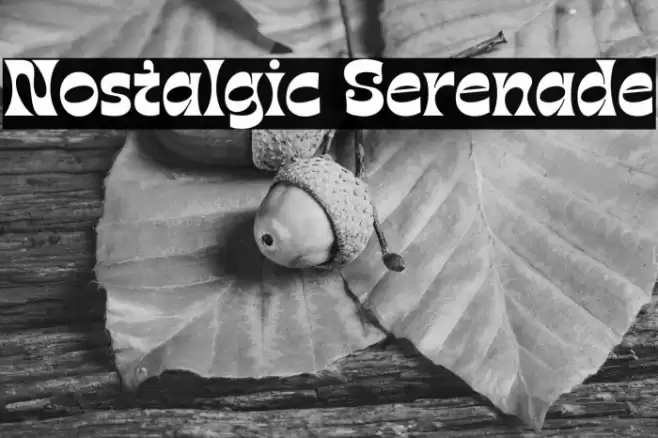 Nostalgic Serenade Polices examples