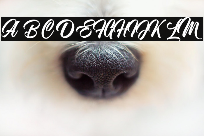 NostalgicScript Example 3