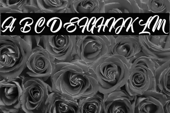 NostalgicScript Font examples