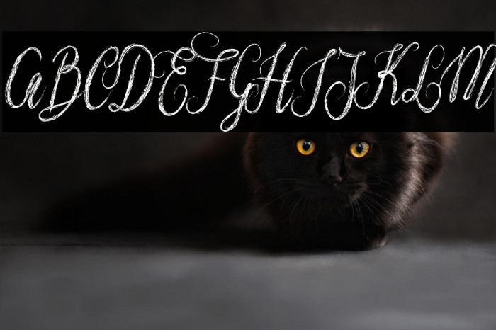 NostarScript Example 3