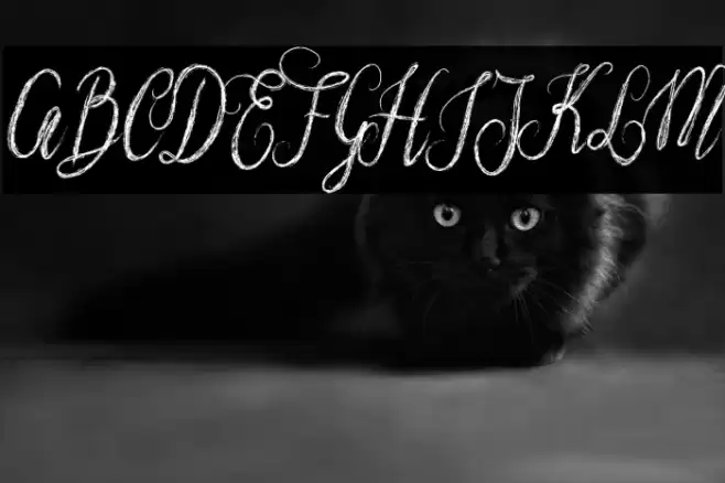 NostarScript Font examples