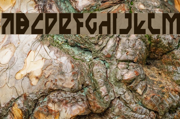 Nostromo Condensed Font examples