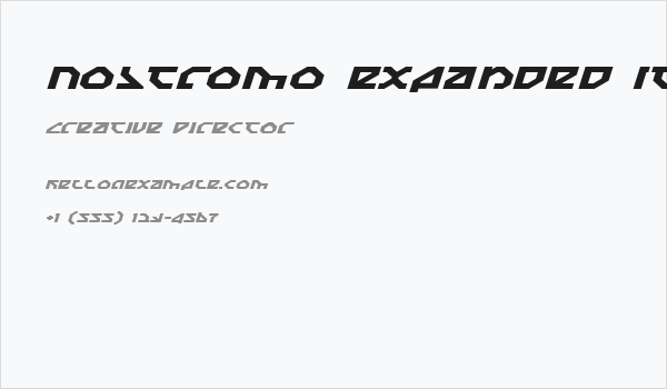 Nostromo Expanded Italic Business Card
