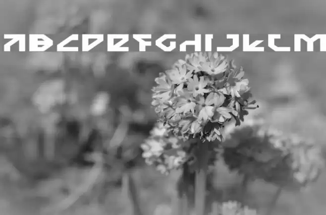 Nostromo Expanded Font examples