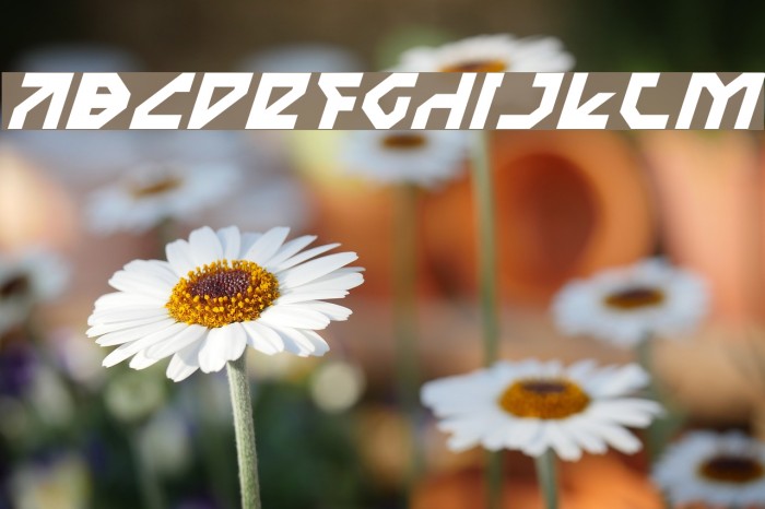 Nostromo Italic Font examples