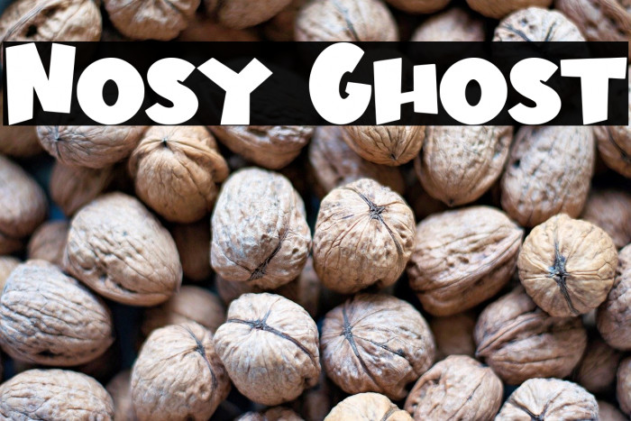 Nosy Ghost Example 2