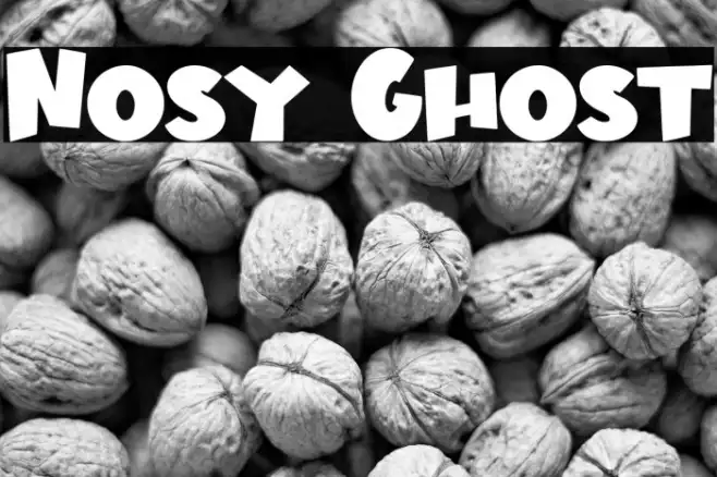 Nosy Ghost Example 2