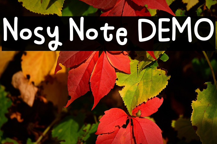 Nosy Note DEMO Example 2