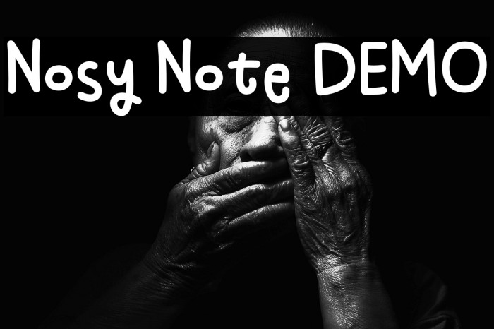 Nosy Note DEMO Example 3