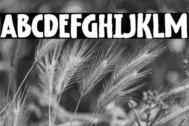 Not Found Font examples