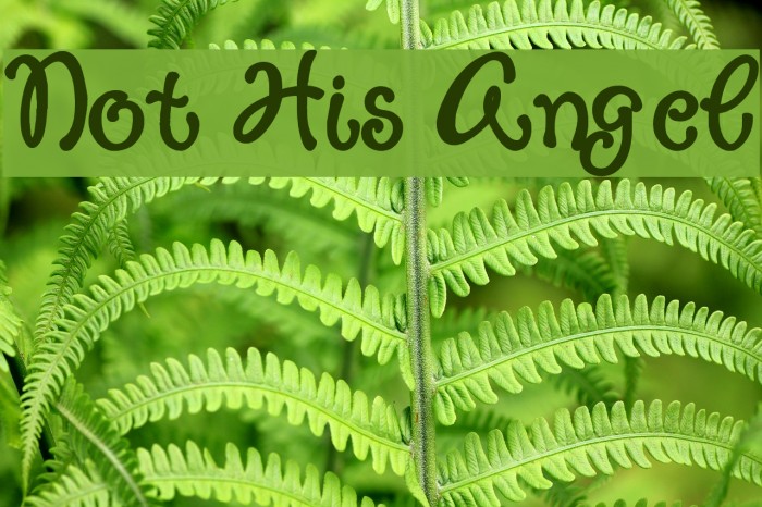 Not His Angel Example 3