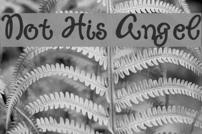 Not His Angel Font examples