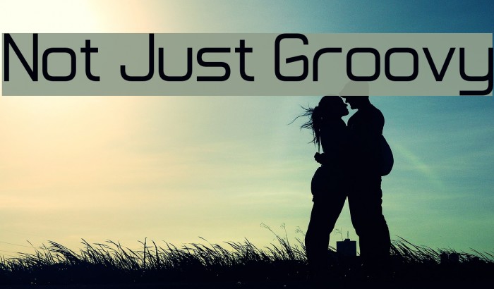 Not Just Groovy Font examples