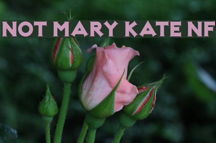 Not Mary Kate NF Font examples