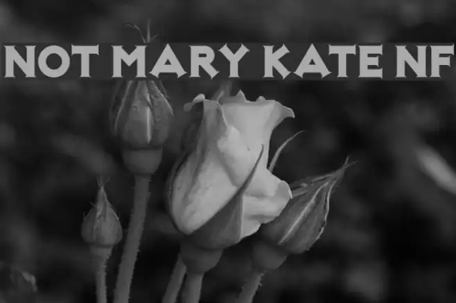 Not Mary Kate NF Example 2