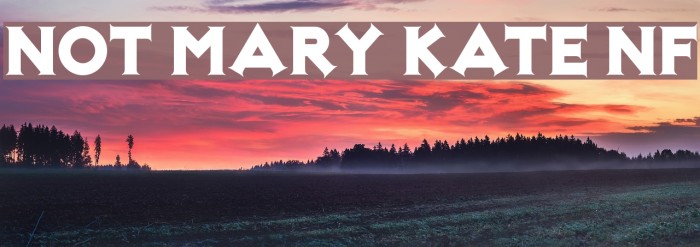 Not Mary Kate NF Font examples