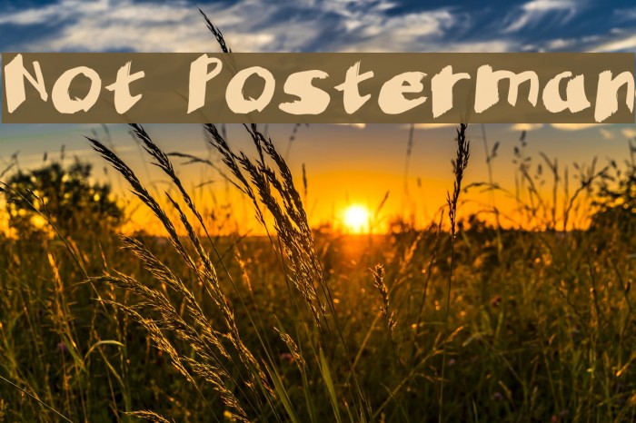 Not Posterman Font examples