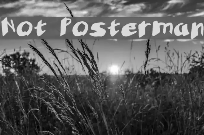 Not Posterman Example 2