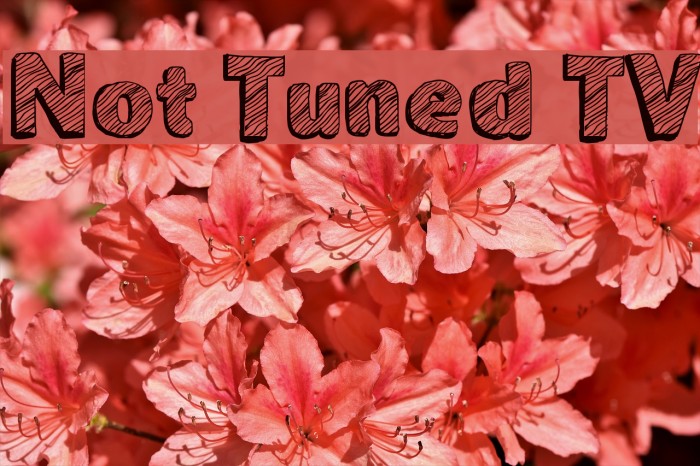 Not Tuned TV Font examples