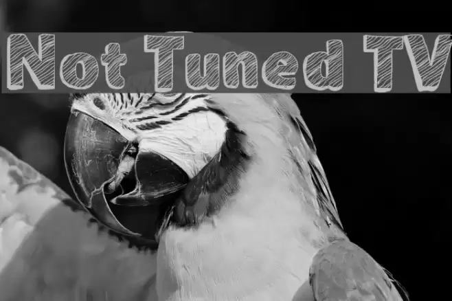 Not Tuned TV Font examples