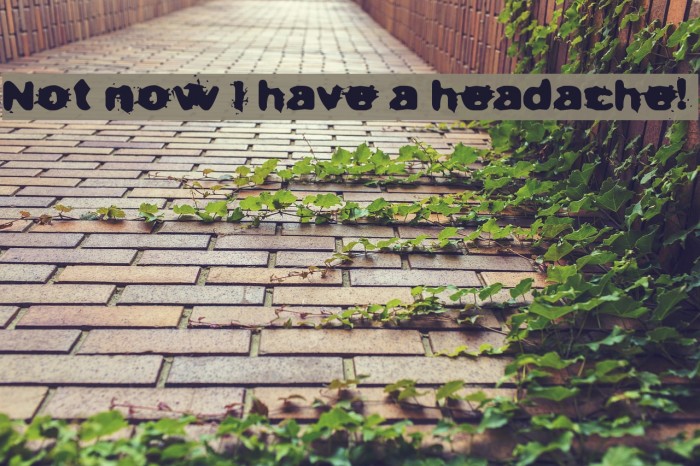 Not now I have a headache! Font examples