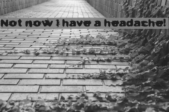 Not now I have a headache! Fonte examples