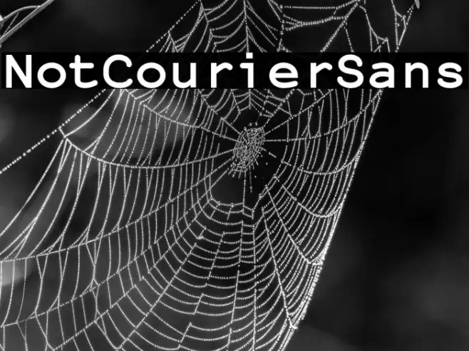 NotCourierSans Example 2